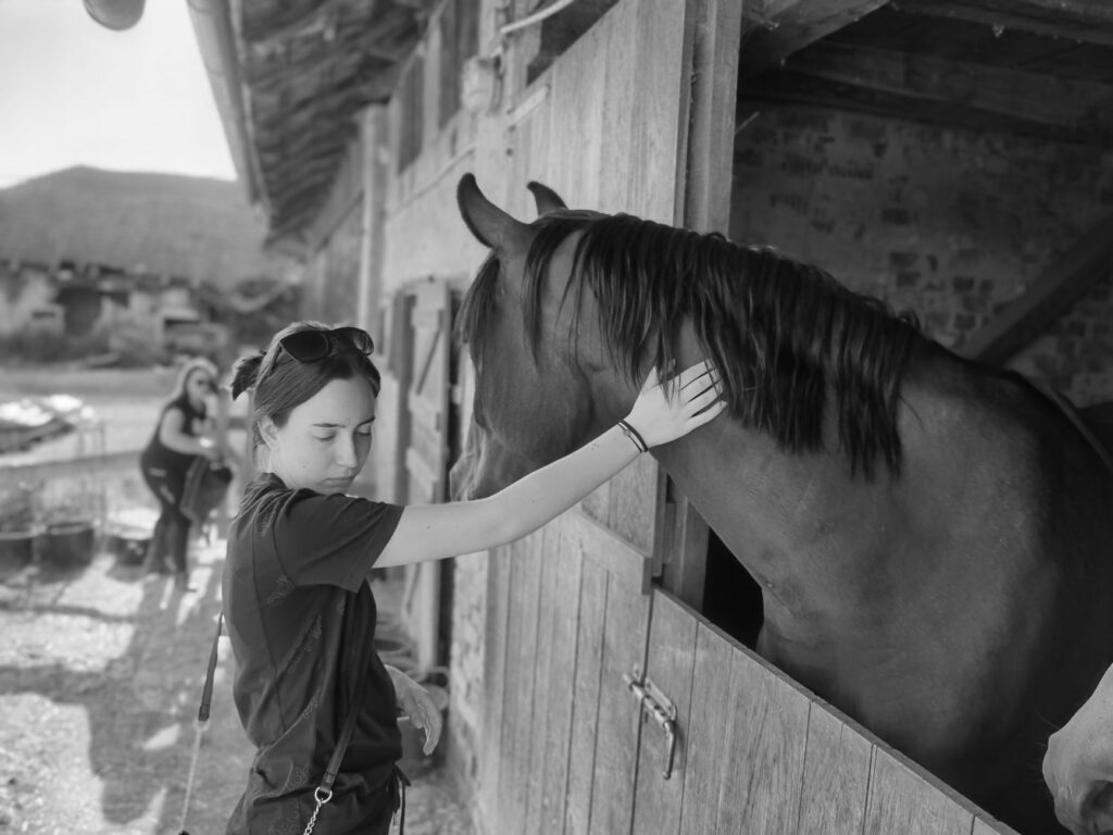 métiers lien animaux métier