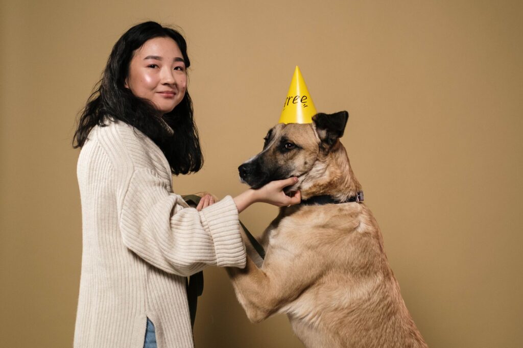 métiers lien animaux choisir entre éducation